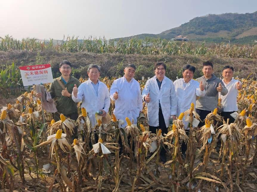 图片14.png