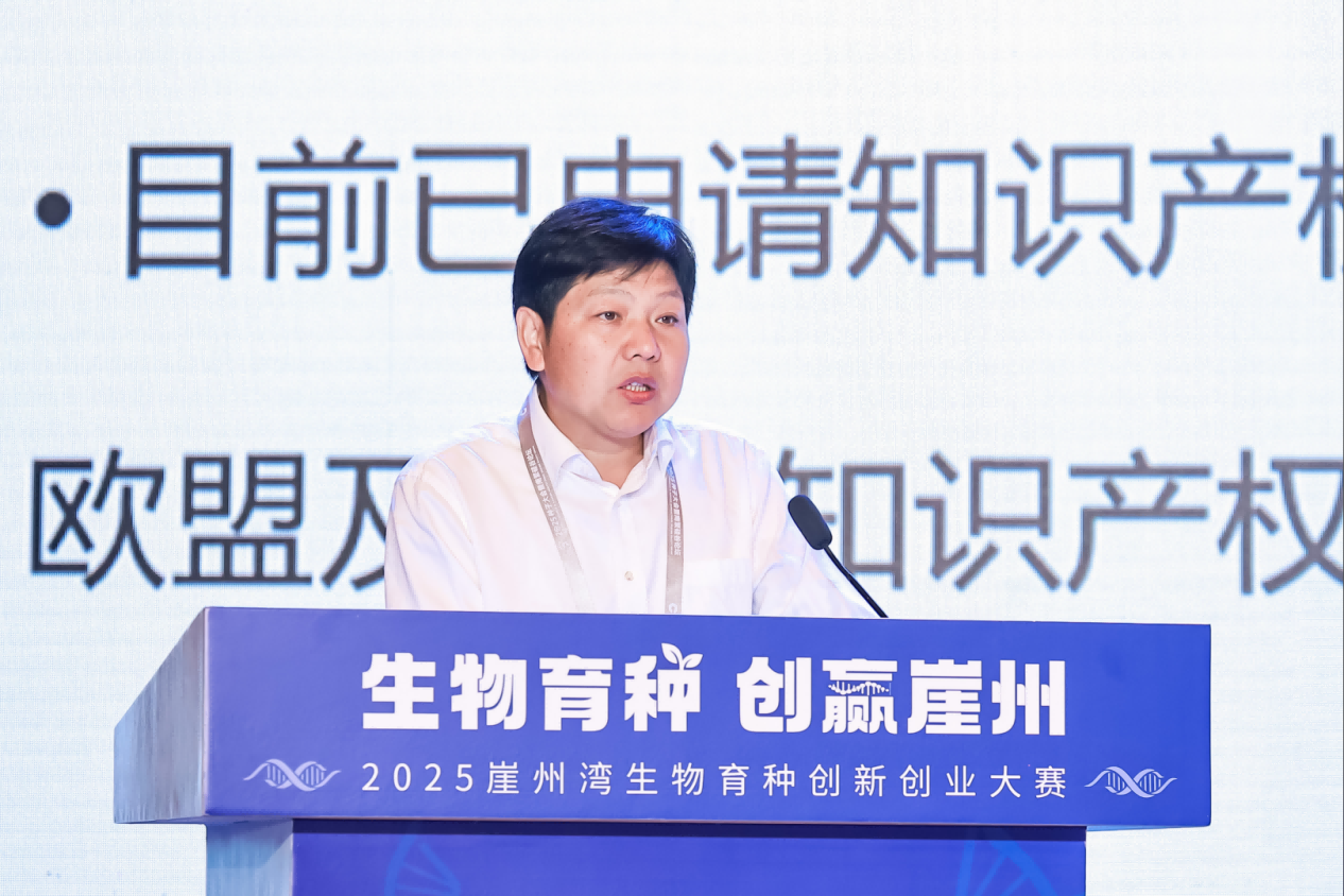 图片11.png